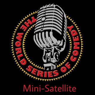 WSOC Mini-Satellite
